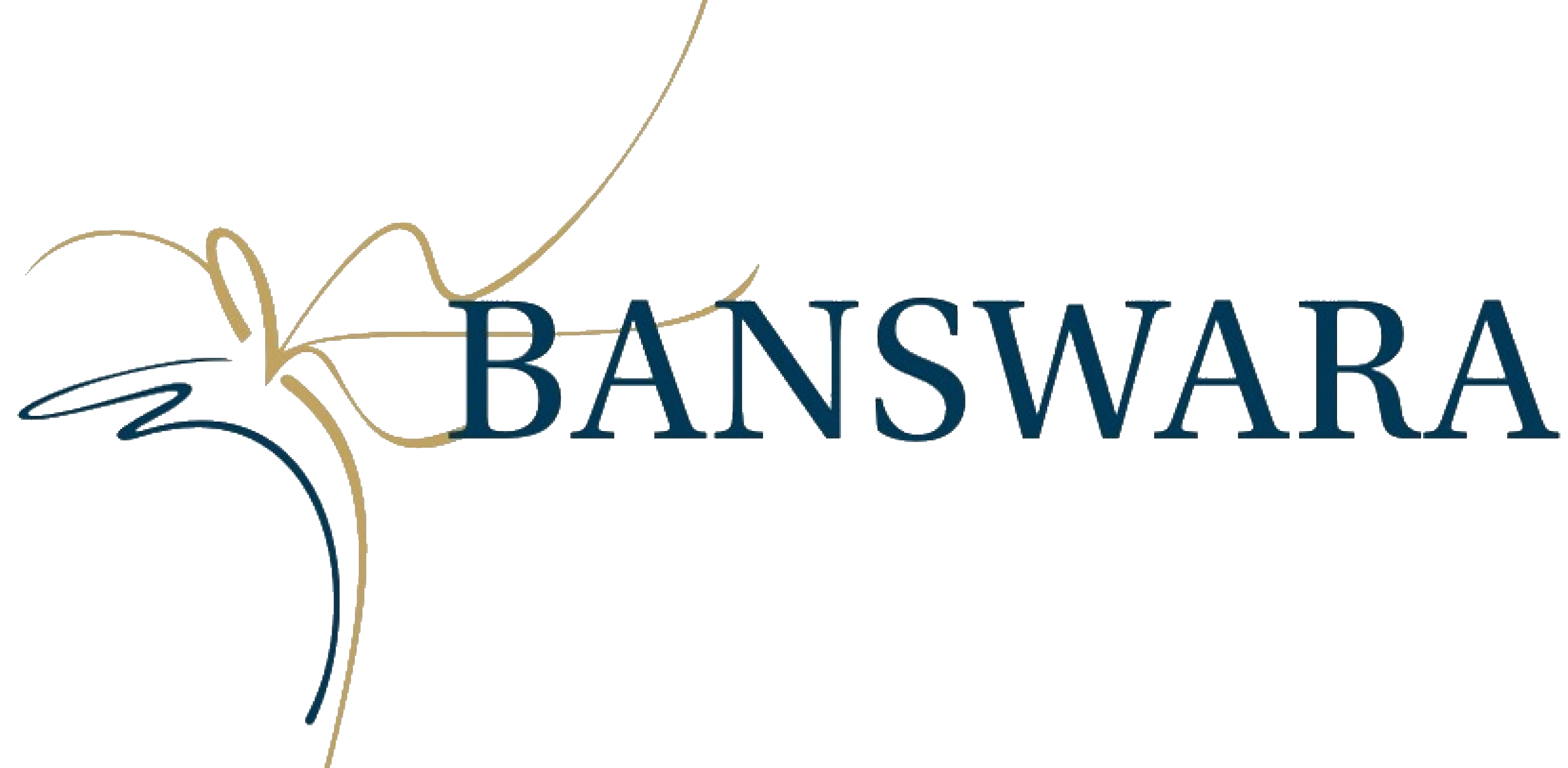 Banswara Syntex Limited